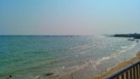 IMG_20190127_142148-01.jpeg