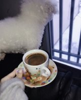 41C351BD-5530-4779-88E0-9B935BDA09ED.jpeg