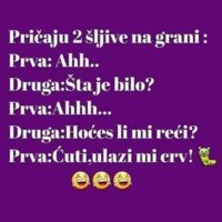 FB_IMG_1548396702180.jpg