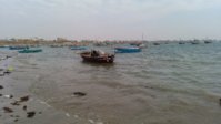 IMG_20190127_102959.jpg