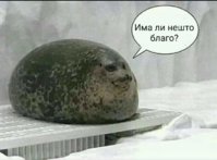 FB_IMG_1548626876287.jpg