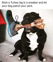 5l-EKho-T-d.jpg