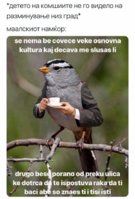 FB_IMG_1548774374747.jpg