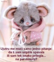 FB_IMG_1547626416927.jpg