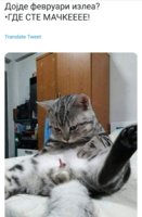 Screenshot_20190201_115719.jpg