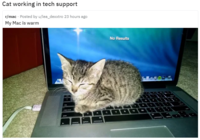 Capture.PNG