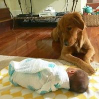 FB_IMG_1549232476751.jpg