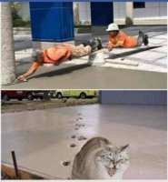 FB_IMG_1549297557195.jpg