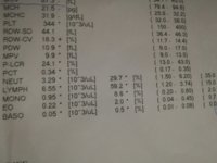 IMG_20190204_185833.jpg