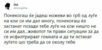 FB_IMG_1549709594840.jpg