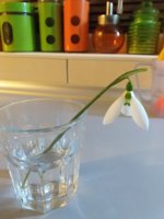 20190210_174816.jpg