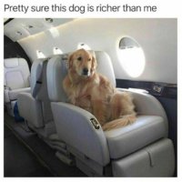 FB_IMG_1549922669137.jpg
