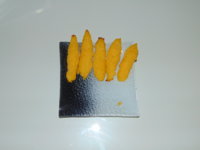 DSC02092.JPG