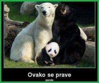 FB_IMG_1549832324855.jpg