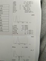IMG_20190212_165554.jpg