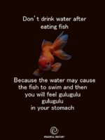FB_IMG_1549977749141.jpg