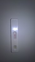 WP_20190214_12_00_14_Pro.jpg