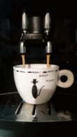 VID_100270219_030613_314_1.gif
