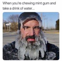 FB_IMG_1550575565231.jpg