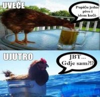 7a85af4bf24ce47efc337828a12b9b41.jpg