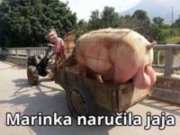 FB_IMG_1550759856467.jpg