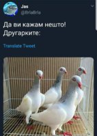 FB_IMG_1550606963885.jpg