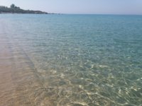 20180808_101644.jpg