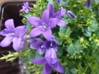 20190227_180624.jpg