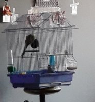20190228_163522.jpg