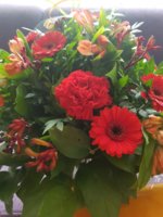 20190301_144226.jpg