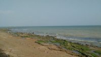 IMG_20190303_161242.jpg
