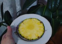 IMG_20190306_185516_940.jpg