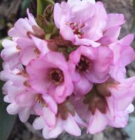 20190314_075215.jpg