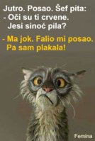 FB_IMG_1552873475430.jpg