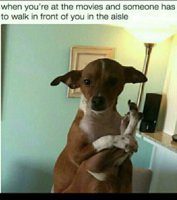 FB_IMG_1552913877848.jpg