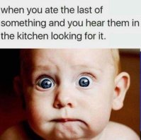 FB_IMG_1552914231444.jpg