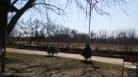 20190323_102057.jpg