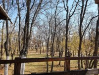 SmartSelect_20190323-123523_Gallery.jpg