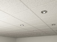 Ceiling Tile Image copy.jpg36c8fcee-8163-441f-bfb4-6b817ef6e16eOriginal.jpg