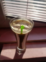 20190323_145015.jpg