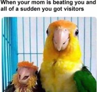 FB_IMG_1551375559594.jpg
