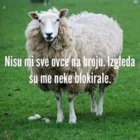 FB_IMG_1553591810537.jpg