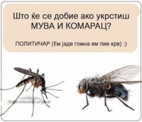 FB_IMG_1553437693609.jpg