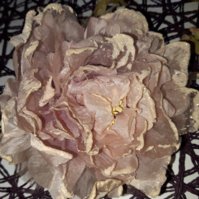 20190327_171101.jpg