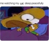 FB_IMG_1551735924385.jpg