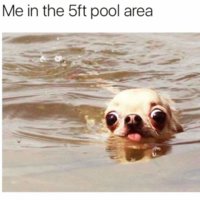 FB_IMG_1554110460396.jpg