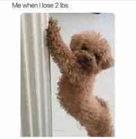 FB_IMG_1554110393005.jpg