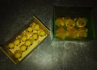 IMG_20190403_183102.jpg