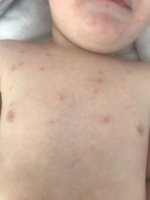 0E273BEE-20E1-4C45-8854-CF38BD403A05.jpeg