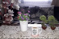 20190405_090241.jpg